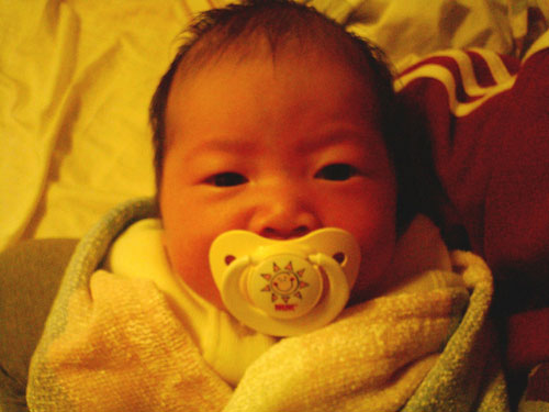 gal/New Born/P1000154.sized.jpg